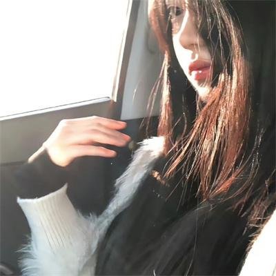 特洛伊艾迪